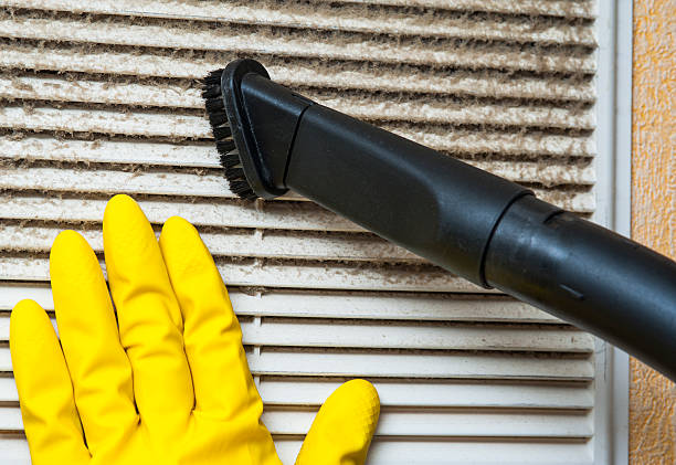 Best Air Vent Cleaning Services  in Eagle, ID